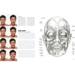 Anatomie für Künstler