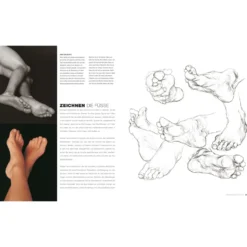 Anatomie für Künstler