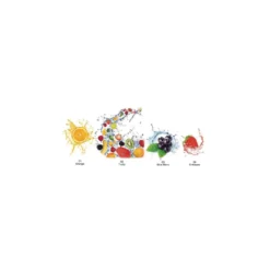 ARTIDEE® Sapolina fruchtiges Seifenduftöl