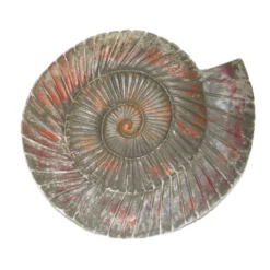 Betonform Schnecke Ammonit