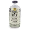 CHELSEA CLASSICAL STUDIO Fat Medium (Fettes Malmittel)