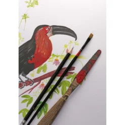 Clairefontaine Paint ON