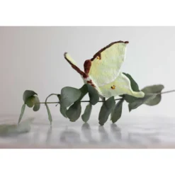 CREARTEC Papiermaché