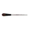 DALER-ROWNEY Graduate Verwaschpinsel, Katzenzunge