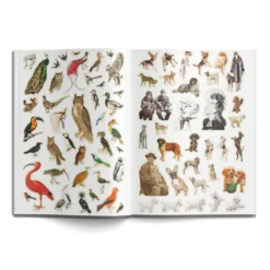 Das geniale Buch der Collagen
