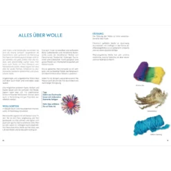 Das große Buch vom Filzen: Grundlagen, Techniken, Projekte. Mit vielen Anwendungsbeispielen