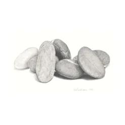 DERWENT Graphic Graphitstifte, einzeln