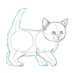 Die Kunst des Zeichnens für Kinder - Ich zeichne Katzen