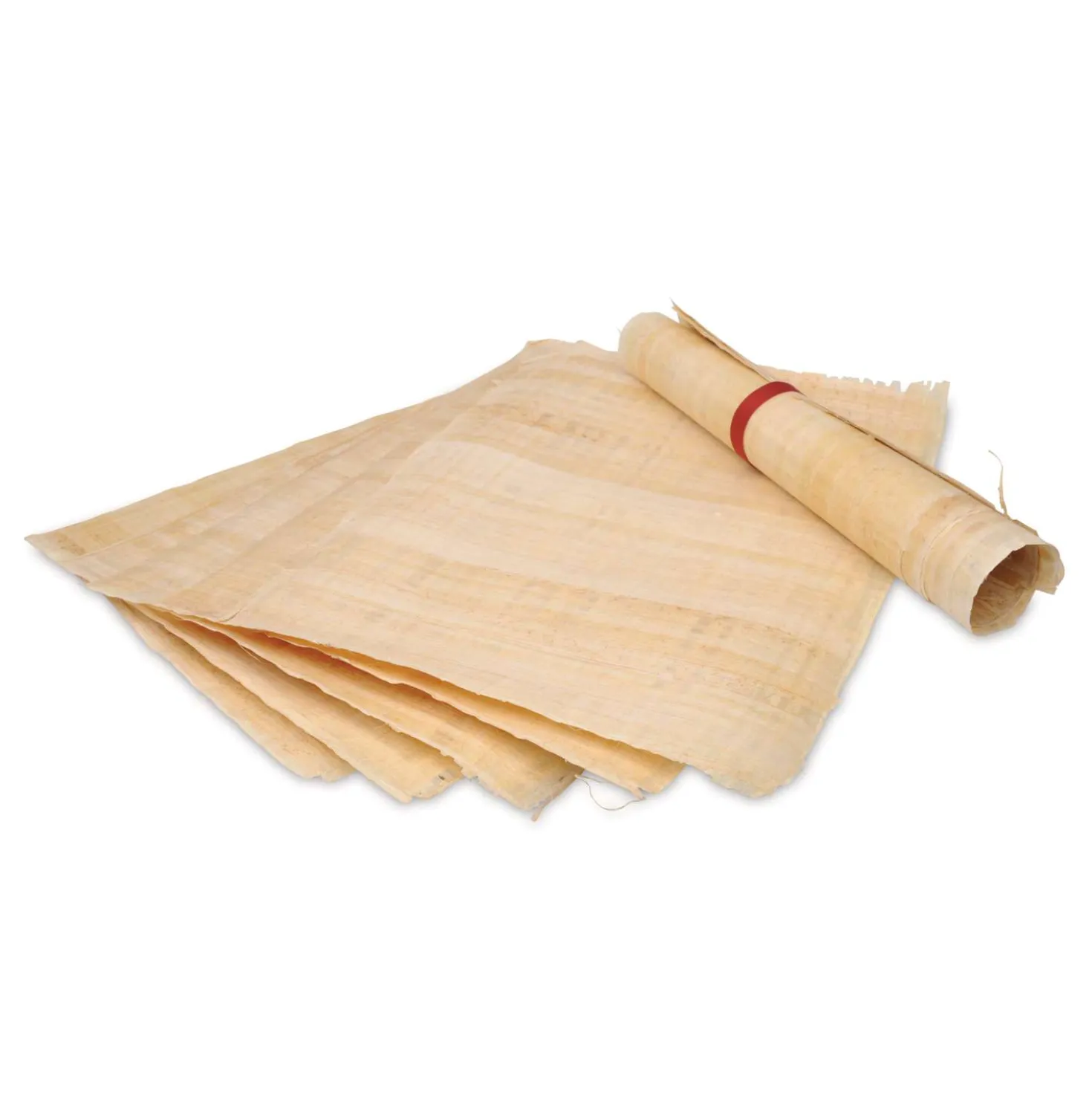 Echter Papyrus