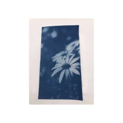 ENJOY ART Cyanotypie Papier