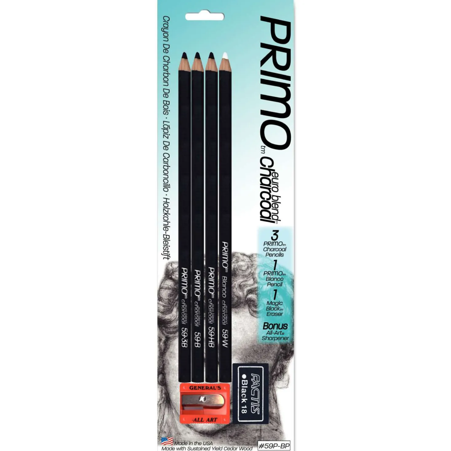 GENERAL'S® PRIMO® Kohlestifte Set