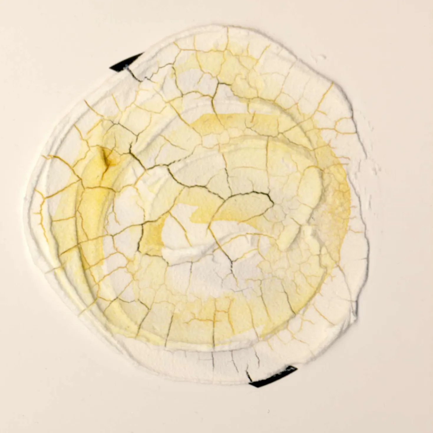 GOLDEN Crackle Paste