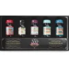 HERBIN 350 Kalligraphie- und Zeichentusche-Set