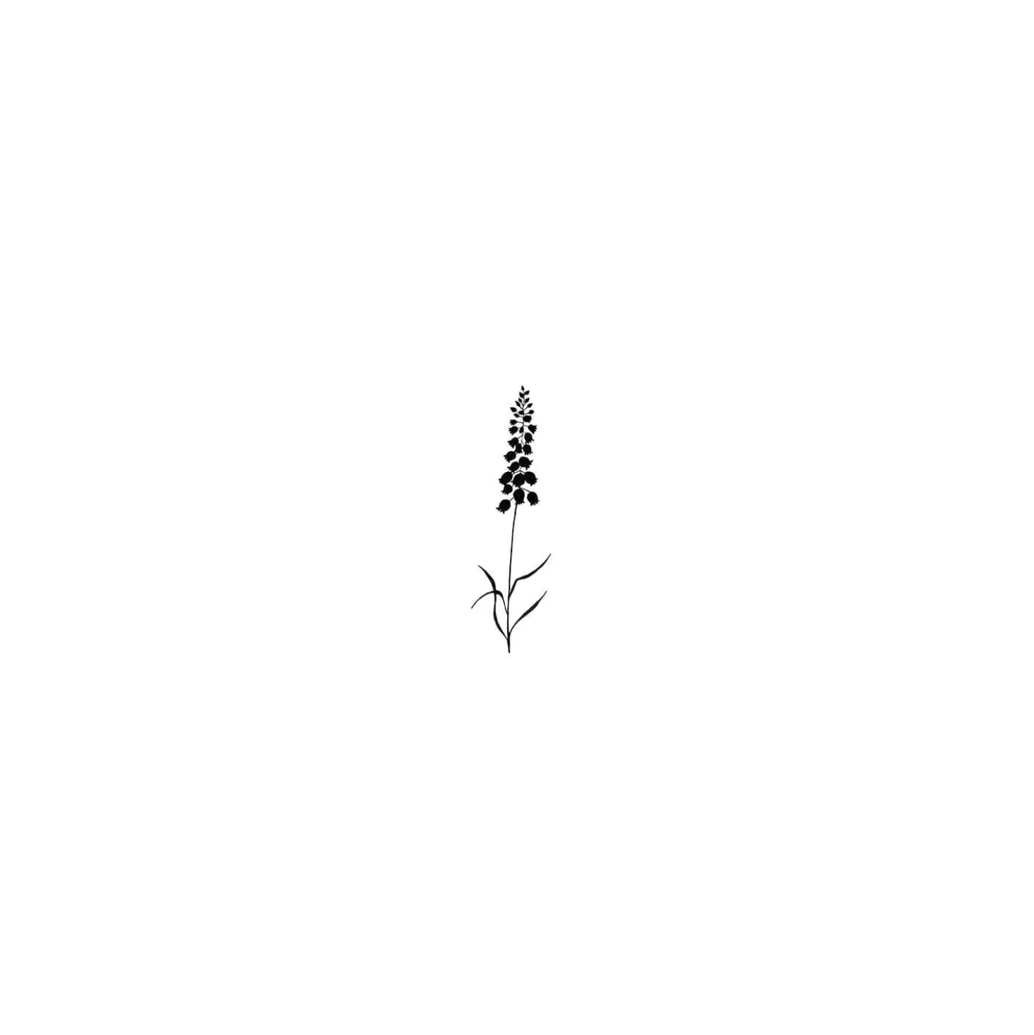 Lavinia Stempel, Bluebells