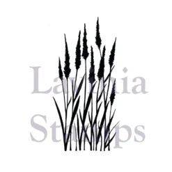 Lavinia Stempel, Meadow Grass