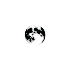 Lavinia Stempel, Moon