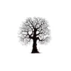 Lavinia Stempel, Oak Tree