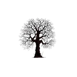 Lavinia Stempel, Oak Tree