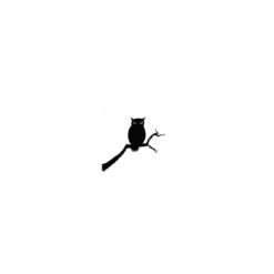 Lavinia Stempel, Owl