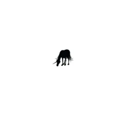 Lavinia Stempel, Unicorn 2