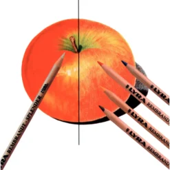 LYRA REMBRANDT®-SPLENDER
