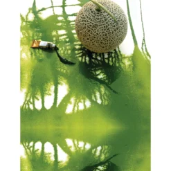 MIJELLO MISSION Gold Aquarellfarben-Set