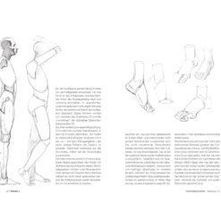 Morpho 2 - Mehr Anatomie für Künstler