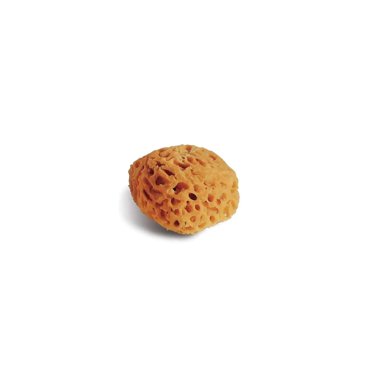 Naturschwamm 14 cm