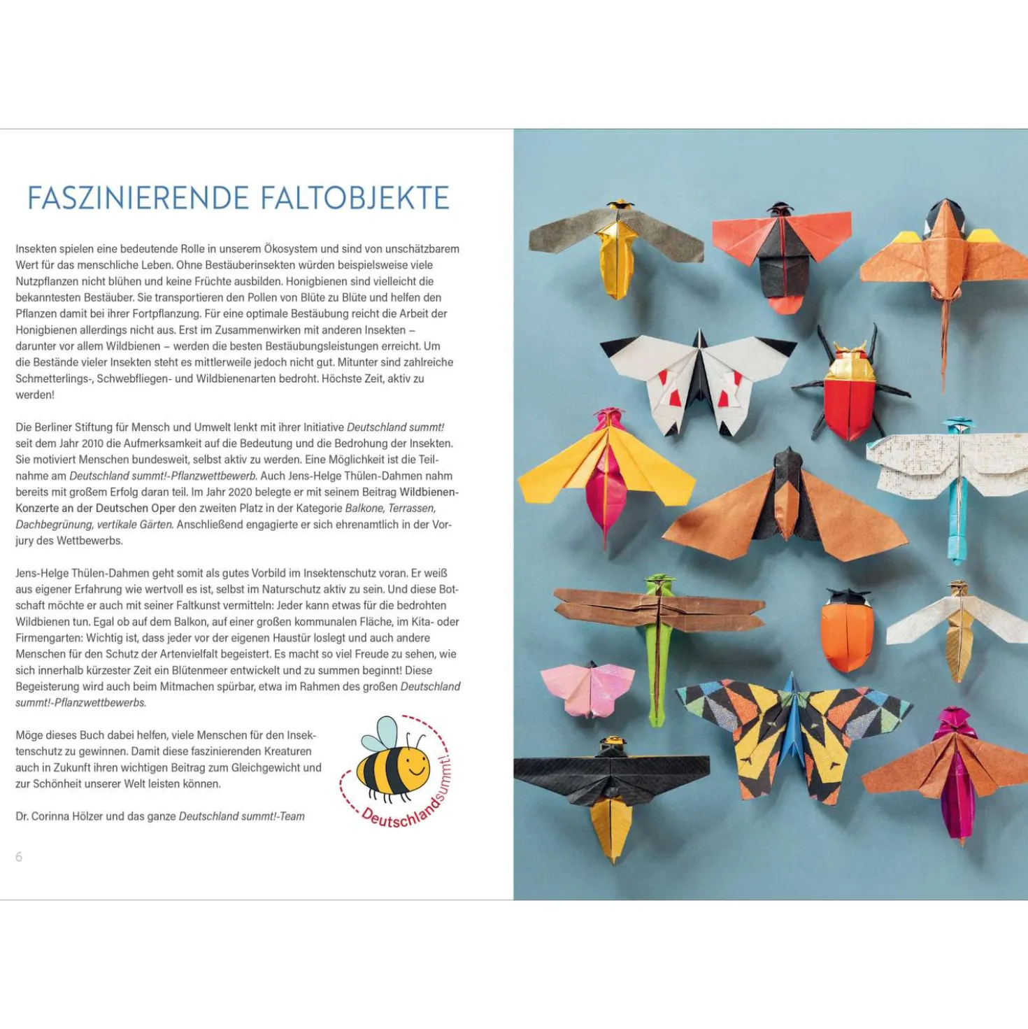 Origami: Bee, Bug und Butterfly