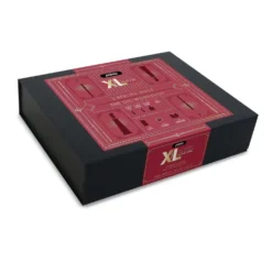 pébéo Studio XL Ölfarben Complete Box - Grundlegende Techniken der Ölmalerei