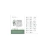 Praxisbuch Kalligraphie Alphabete