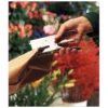 Rapid® Classic Heftzange K1