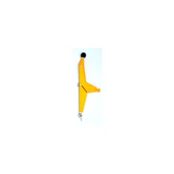 Zirkel smiling scompas